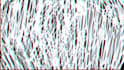 make trippy animated music videos and lyric video for you