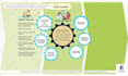 design editable canva video and image templates
