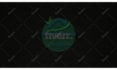 design custom 4k neon logo animation neon light sign, neon intro video for you