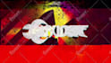 do custom vj loop dj visuals and logo animation