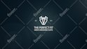 create custom 2d 3d logo animation and animated  intro video