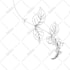 draw and animate line art