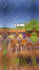 create a viral minecraft tiktok for your server