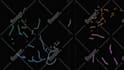 create trendy animated hand drawn lyric video
