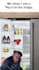 create funny viral memes and meme videos for social media