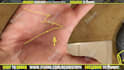 give a palm reading on video in 24h