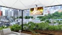 create realistic 3d interior design and rendering for your space