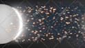 do 3d motion graphic logo animation