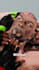 create viral 3d animated youtube shorts in zack d films animation style