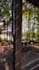edit real estate reels, promos, and construction videos