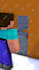create 3d minecraft animations