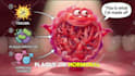 create stunning ai animated videos for educational videos