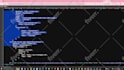 frontend developer in HTML CSS js tailwind bootstrap or vue js react js