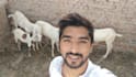 wish happy birthday and sing song with my goats
