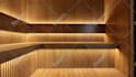 design and rendering for your sauna, steam room, onsen