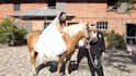 do cinematic wedding video edit