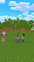 create professional minecraft animation