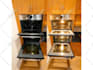 create 5 stunning animated logo intro videos in 24 hours