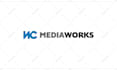 create a professional dynamic custom 2d logo animation