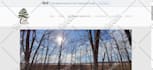small business website squarespace website design wix redesign wordpress website