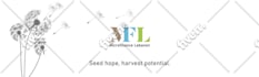 create eye catching custom logo animation intro