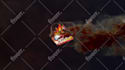 eye catching fire logo intro video animation