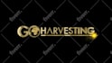 do unique custom logo animation or motion graphics