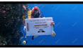 write an arabic diver custom message