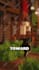 create a viral minecraft tiktok for your server