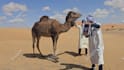 deliver funny happy birthday video with camel