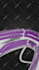do 3d product modeling and photorealistic rendering