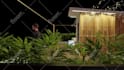 3d interior design restaurant, cafe, bar, lounge, and spa