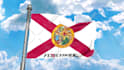 be doing a 3d animation of the flag