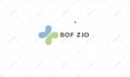 create a professional custom logo animation for your business