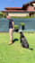 special ugc pet content with my dog