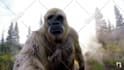 produce influential ai generated ads go viral on social media, veo3, veo 3