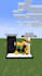 create minecraft animation for tiktok
