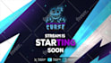 do stream animated twitch overlay for your live streaming