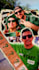 animate your images into a cinemagraph, video, or a GIF