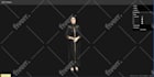make 3d models, rig them and animate them