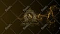 do luxury gold logo reveal animation