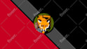 give you a stinger transition screen for twitch youtube