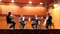 do an impecable job at editing your classical music videos