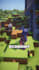 create a viral minecraft tiktok for your server