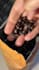 create ugc videos for coffee, food, and kitchen brands