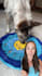 create ugc videos with my dog tiktok reels amazon pets