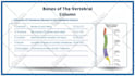 convert powerpoint into a professional online video course
