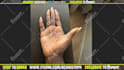 give a palm reading on video in 24h