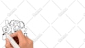 animate a professional custom whiteboard animation explainer video