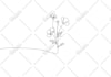 draw line art animations